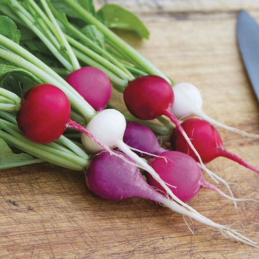 Assorted fresh radishes: red, white, and purple, with green leaves, on a wooden cutting board.