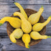 Fresh yellow crookneck summer squash in a woven basket on a rustic wooden table. Garden harvest.
