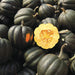 Dark green acorn squash pile with one cut open, revealing yellow flesh and seeds. Fresh, healthy winter produce.