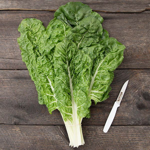 Fresh green Swiss chard bunch with white stems and a small knife on a rustic wooden table.