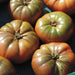 Ripe dark heirloom beefsteak tomatoes with green, brown, and red hues. Fresh garden produce.