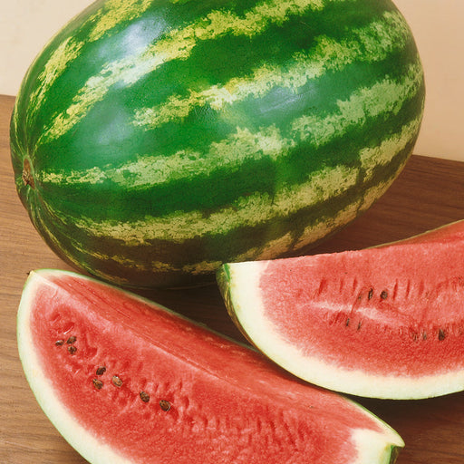 Fresh whole green striped watermelon and two juicy red slices with seeds. Sweet summer fruit.