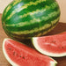 Fresh whole green striped watermelon and two juicy red slices with seeds. Sweet summer fruit.