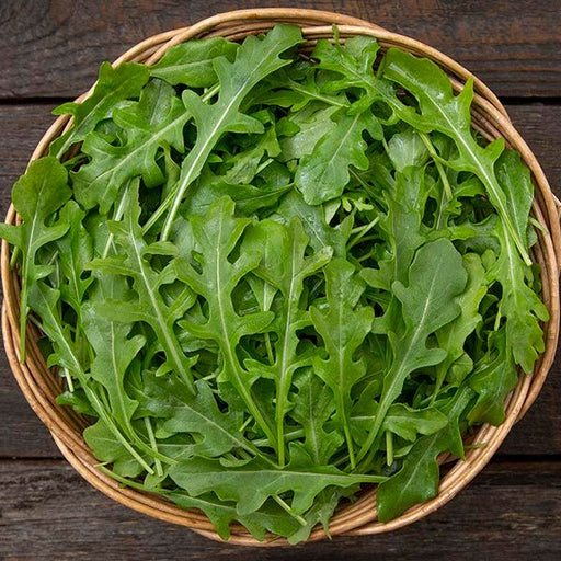 Vibrant fresh arugula leaves in a rustic wicker basket. Healthy, organic rocket salad greens.