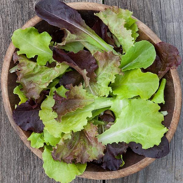 Fresh red and green mixed lettuce in a wooden bowl on a rustic wood table.