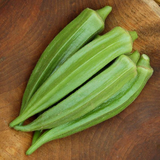 Fresh green okra pods on a rustic wooden background. Healthy vegetable produce.