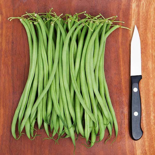 Fresh green beans and a sharp chef's knife on a rustic wood cutting board. Healthy vegetable cooking, meal prep.