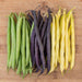 Fresh green, purple, and yellow wax bean varieties on a rustic wooden board.