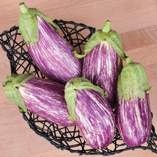 Five fresh graffiti eggplants, purple and white striped, in a black wire basket.