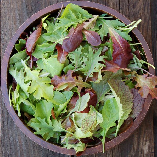 Fresh mixed greens salad in a rustic wooden bowl. Vibrant baby lettuce, arugula, and red kale.
