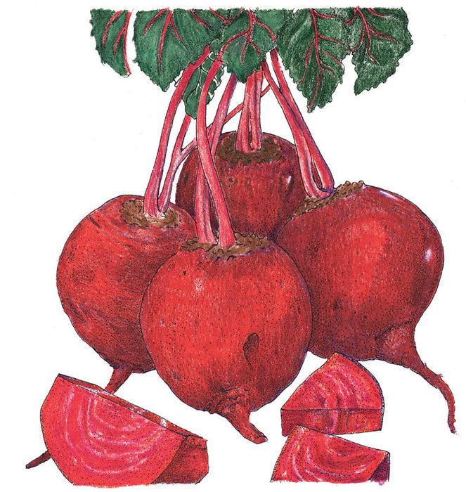 Fresh red beets with green leaves and sliced beet pieces. Healthy root vegetables.