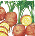Whole golden beets with green leaves and sliced yellow beets revealing bright golden flesh. Fresh garden vegetables.