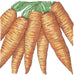 Fresh orange carrots with green leafy tops. Healthy garden vegetables.