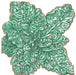 Green succulent plant illustration with textured leaves, prominent veins, and reddish-brown edges.