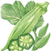 Green okra pods, whole and sliced, with leaves and small developing pods. Fresh vegetable illustration.