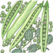 Detailed illustration: fresh green peas, open pods, scattered peas, and pea plant leaves with tendrils.