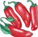 Red chili peppers illustration, green stems and leaves. Fresh, vibrant, spicy produce for cooking.