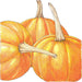 Three hand-drawn bright orange pumpkins with stems, perfect for fall, autumn, and Halloween decor.