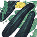 Dark green zucchini squash with vibrant leaves and a yellow blossom. Fresh garden vegetables, summer harvest.