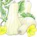 Three pale butternut winter squash with green leaves and bright yellow flowers.