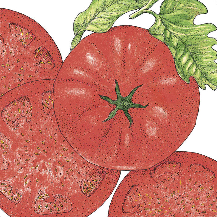Red tomato illustration: whole ripe tomato, green leaves, and sliced tomatoes revealing seeds. Fresh garden produce.
