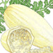 Yellow winter squash illustration: one whole, one cut open revealing seeds and fibrous pulp. Fresh garden produce.