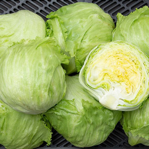 Crisp green iceberg lettuce heads, one sliced open displaying its pale yellow core. Fresh produce for healthy salads.