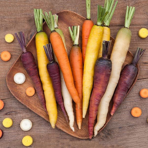 Colorful heirloom rainbow carrots: orange, yellow, purple, white, with green tops, on a wooden tray.