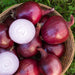 Basket of fresh red onions, two sliced to show white rings, on green grass.
