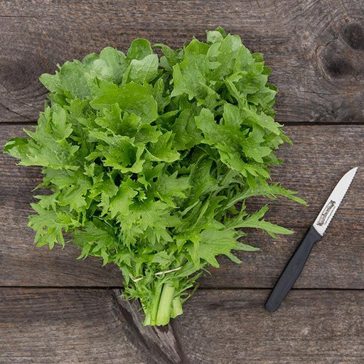 Fresh mizuna mustard greens tied in a bunch, with a paring knife on a rustic wooden table.