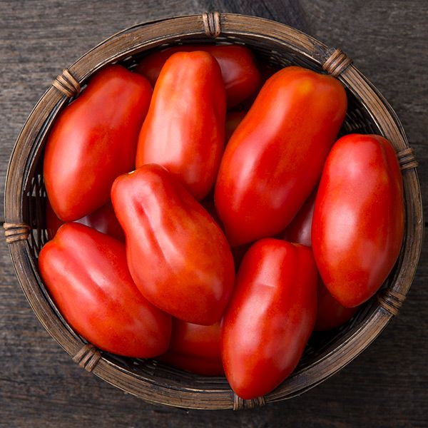 Basket of ripe red Roma tomatoes, perfect for sauce or canning.