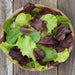 Fresh mixed greens salad in a wooden bowl. Vibrant green and red lettuce for a healthy, delicious meal.