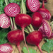 Vibrant Chioggia beets: whole red roots and sliced cross-sections revealing unique candy stripe patterns with greens.