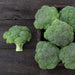 Fresh green broccoli heads in a woven basket and on dark rustic wood. Healthy raw vegetables.