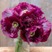 Deep plum purple poppy bouquet in a mason jar. Ruffled petals, light centers, on a rustic wooden background.