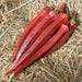 Red okra pods on straw. Freshly harvested heirloom garden vegetable.