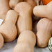 Abundant light tan butternut squash, orange pumpkin, and striped winter gourds.