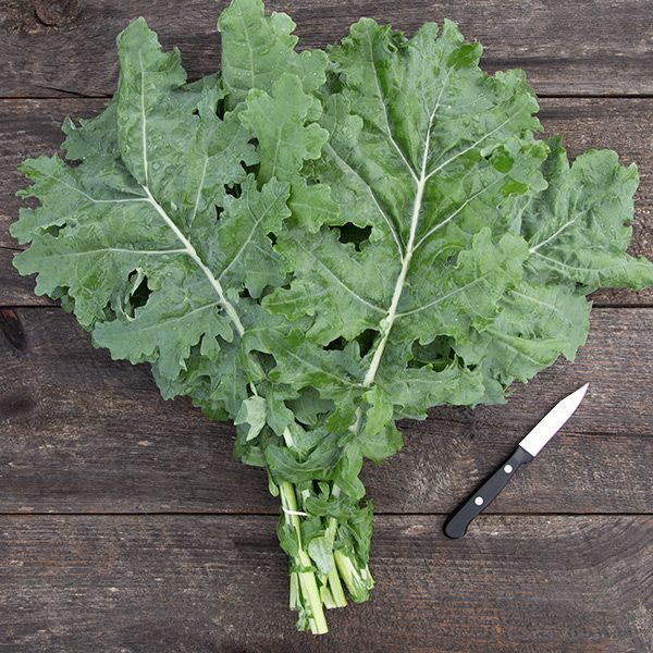 Bunch of fresh green kale with a paring knife on a rustic wooden table. Healthy leafy vegetable for cooking.