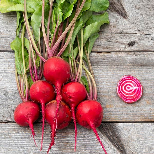 Fresh red beets with green tops and roots, one sliced Chioggia beet showing red and white stripes, on rustic wood.