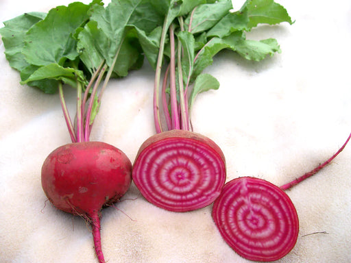 Vibrant red Chioggia beets: one whole, two slices revealing striking red and white concentric rings with green leaves.