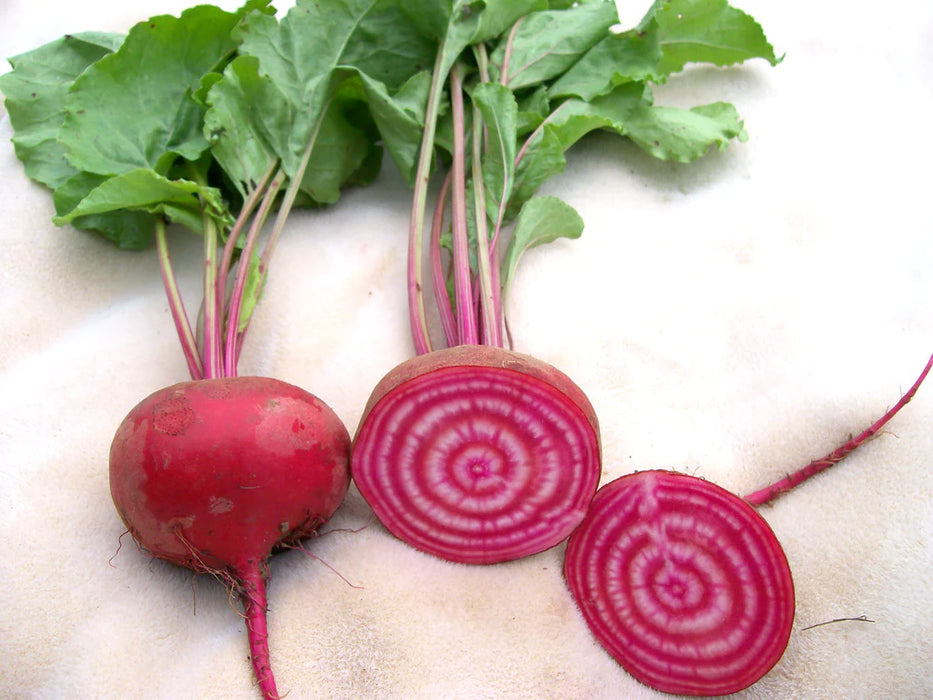 Vibrant red Chioggia beets: one whole, two slices revealing striking red and white concentric rings with green leaves.