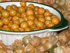 Vibrant golden berries (physalis, cape gooseberries) in a white bowl, with husks in the foreground.