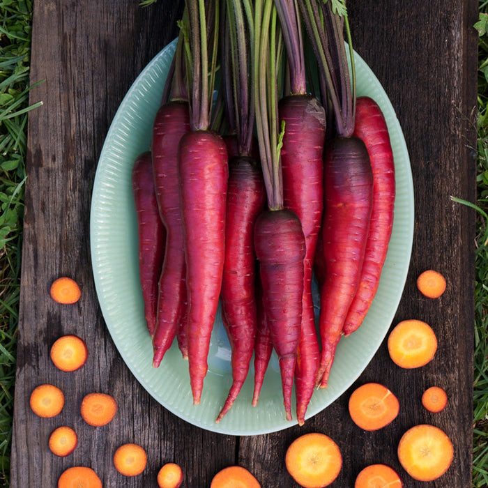 Heirloom purple and red carrots with green tops on a plate, surrounded by fresh orange carrot slices on wood.