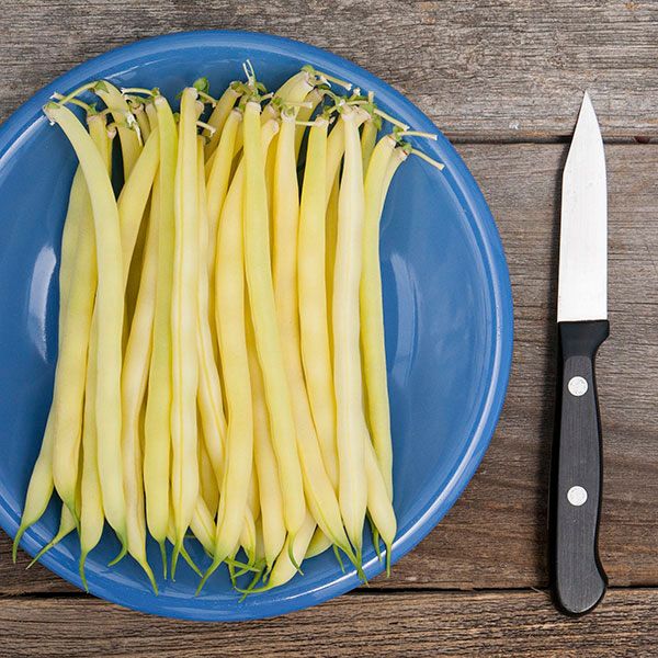 Golden wax beans on a blue plate with a knife on a rustic wooden background. Fresh harvest.