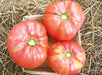 Ripe red heirloom beefsteak tomatoes in a basket, fresh from the garden.