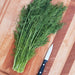 Vibrant fresh dill herb on a wooden cutting board with a paring knife. Ready for cooking or garnish.
