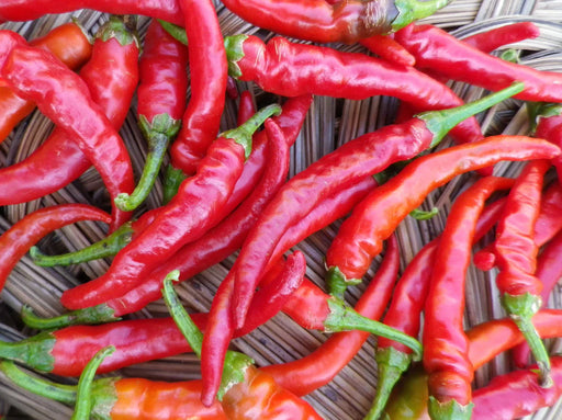 Vibrant red chili peppers, fresh and spicy, with green stems in a rustic woven basket. Hot cooking ingredient.