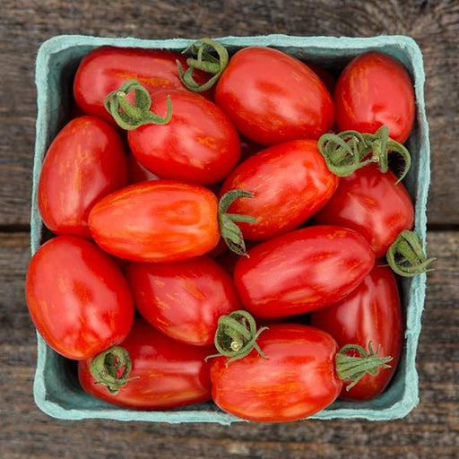 Fresh red and orange striped plum tomatoes with green stems in a blue market basket.