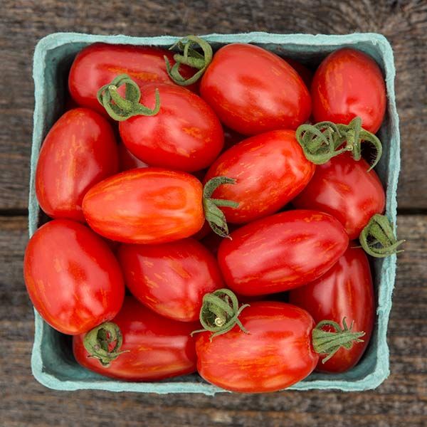 Fresh red and orange striped plum tomatoes with green stems in a blue market basket.