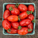 Fresh red and orange striped plum tomatoes with green stems in a blue market basket.